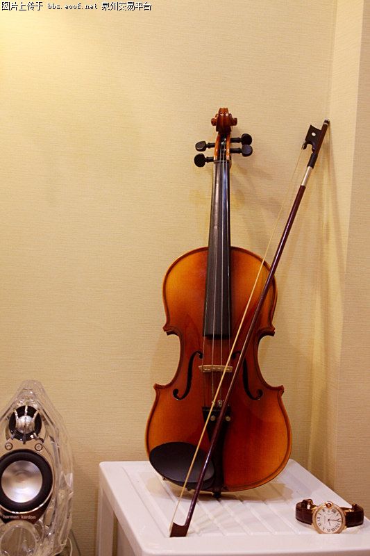 主题:卖一把小提琴,800多元买的小提琴现在350元出售,闲置家里