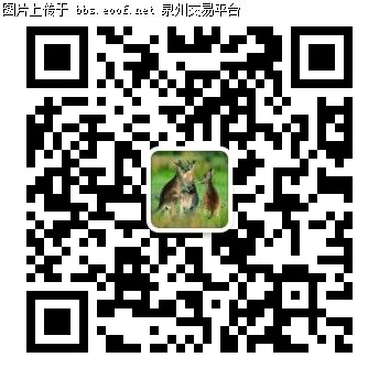 Eoof.Net 泉州交易平台 按此在新窗口浏览图片