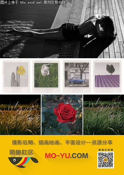 Eoof.Net 泉州交易平台 按此在新窗口浏览图片