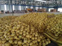 Eoof.Net 泉州交易平台 按此在新窗口浏览图片